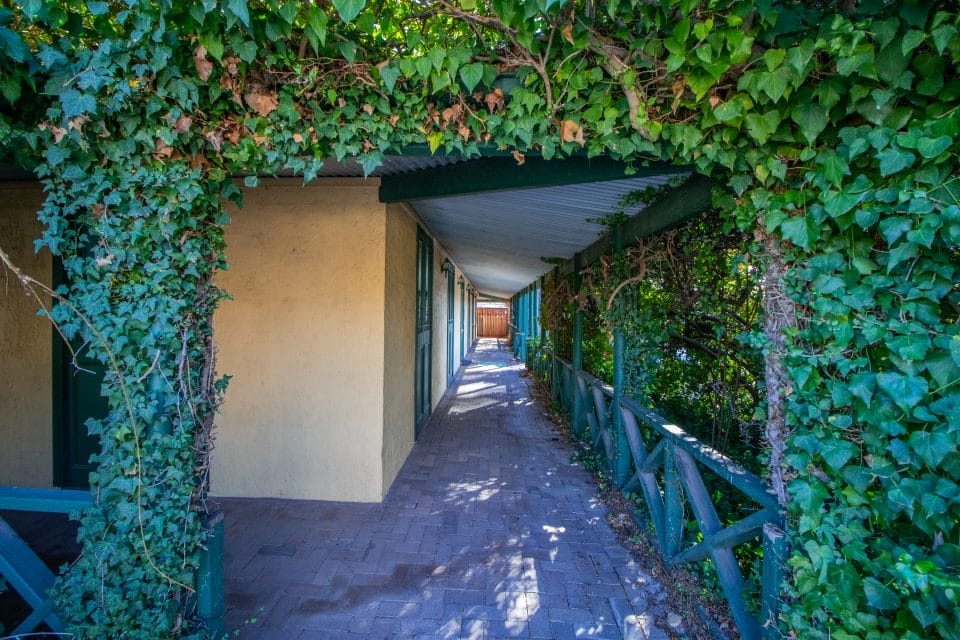 Modern podiatry clinic interior and advanced treatment facilities at The Walking Clinic Lyneham Canberra